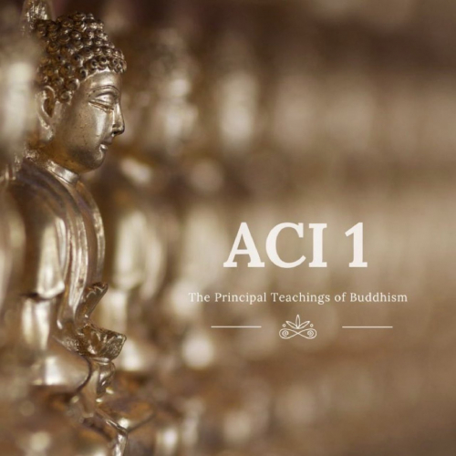 ACI 1: Cele trei căi principale