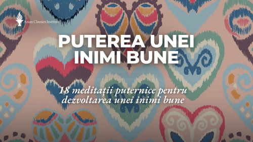 Puterea unei Inimi Bune