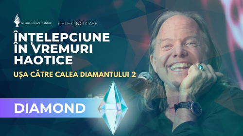 Cele Cinci Case: Înțelepciune în Vremuri Haotice Diamond